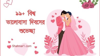 ৯৯+ বিশ্ব ভালবাসা দিবসের শুভেচ্ছা ছন্দ, বার্তা, পিকচার, ছবি, SMS