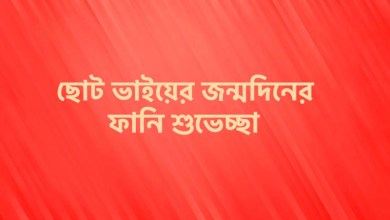 ছোট ভাইয়ের জন্মদিনের ফানি শুভেচ্ছা