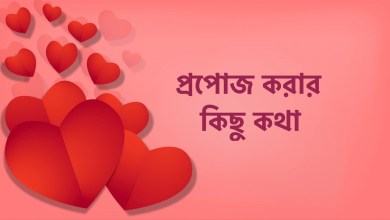 প্রপোজ করার কিছু কথা - প্রপোজ করার রোমান্টিক কথা