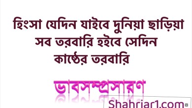 ভাব সম্প্রসারণ: হিংসা যেদিন যাইবে দুনিয়া ছাড়িয়া / সব তরবারি হইবে সেদিন কাষ্ঠের তরবারি