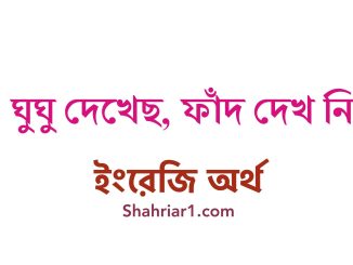 ঘুঘু দেখেছ, ফাঁদ দেখ নি-এর ইংরেজি, Meaning in English & English Translation