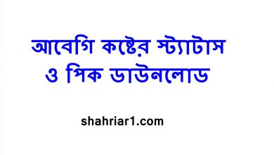 আবেগি কষ্টের স্ট্যাটাস ও পিক ডাউনলোড