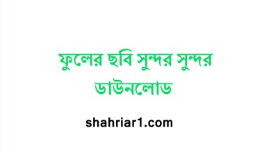 ফুলের ছবি সুন্দর সুন্দর ডাউনলোড