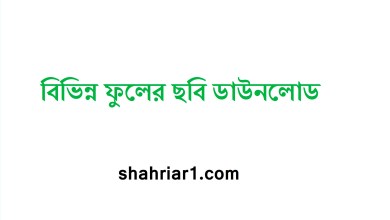বিভিন্ন ফুলের ছবি ডাউনলোড