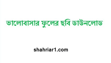 ভালোবাসার ফুলের ছবি ডাউনলোড