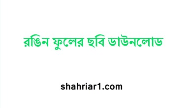 রঙিন ফুলের ছবি ডাউনলোড