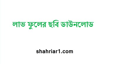 লাভ ফুলের ছবি ডাউনলোড