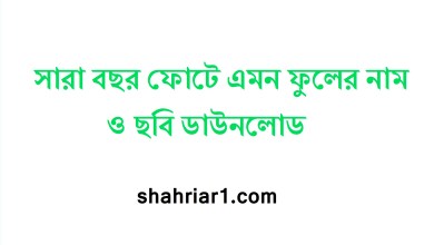 সারা বছর ফোটে এমন ফুলের নাম ও ছবি ডাউনলোড
