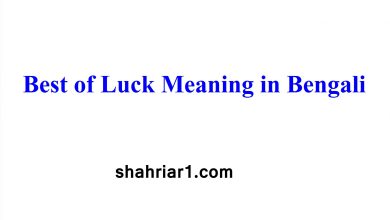 Best of Luck Meaning in Bengali