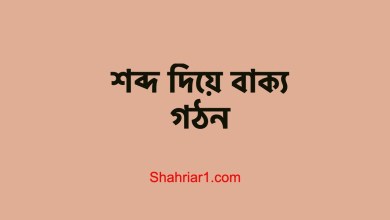 শব্দ দিয়ে বাক্য গঠন
