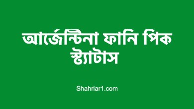 আর্জেন্টিনা ফানি পিক স্ট্যাটাস