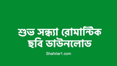 শুভ সন্ধ্যা রোমান্টিক ছবি ডাউনলোড