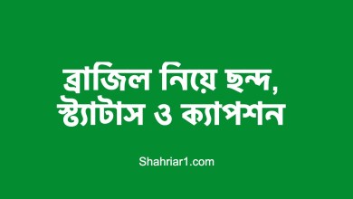 ৯৯+ ব্রাজিল নিয়ে ফেসবুক স্ট্যাটাস ও ক্যাপশন, ব্রাজিল নিয়ে ছন্দ