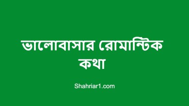 ভালোবাসার রোমান্টিক কথা