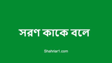 সরণ কাকে বলে