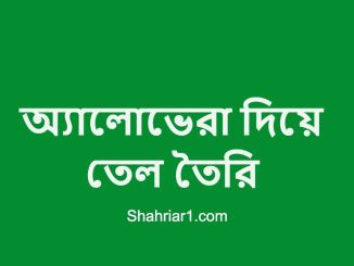 অ্যালোভেরা দিয়ে তেল তৈরি