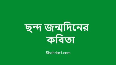 ছন্দ জন্মদিনের কবিতা