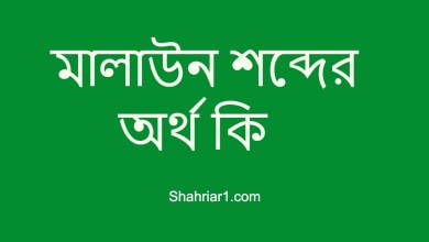 মালাউন শব্দের অর্থ কি 