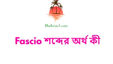 Fascio শব্দের অর্থ কী