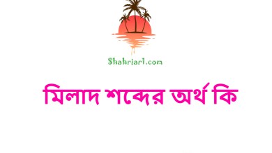 মিলাদ শব্দের অর্থ কি