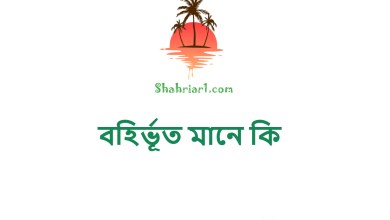 বহির্ভূত মানে কি